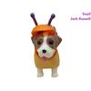 Dress Your Puppies S2