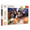 Trefl Puzzle Harry Potter 300 pcs 