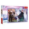 Trefl Puzzle Frozen All the Heroes 300 pcs