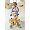 Fisher Price Strata Puppy Training Smart Stages