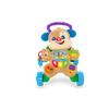 Fisher Price Strata Puppy Training Smart Stages