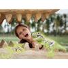 Science And Play Jurassic World Educational Game