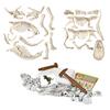 Learn & Create T-Rex & Triceratops Augmented Reality Fluo