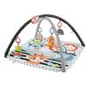 Fisher Price Musical Gym 3 in 1