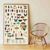 Poppik Insects - reusable sticker poster ages 6-12