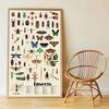 Poppik Insects - Reusable sticker poster ages 6-12