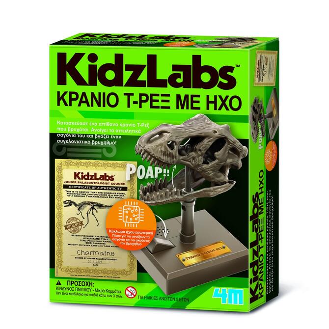 Κατασκευή Κρανίο T-REX με ήχο - 4Μ 5+ ετών