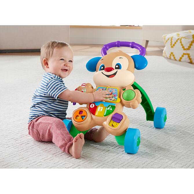 Fisher Price Strata Puppy Training Smart Stages