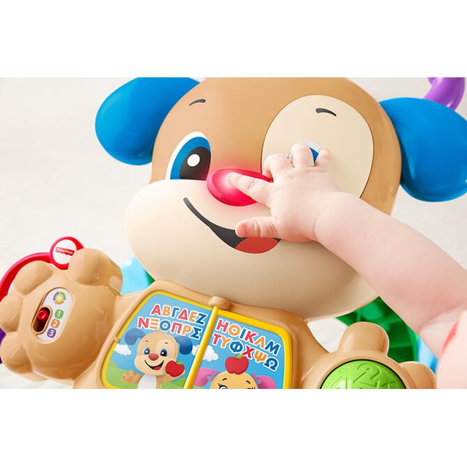 Fisher Price Strata Puppy Training Smart Stages