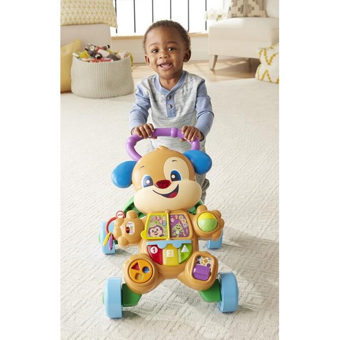 Fisher Price Strata Puppy Training Smart Stages