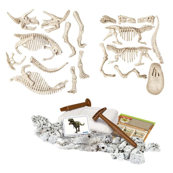Learn & Create T-Rex & Triceratops Augmented Reality Fluo