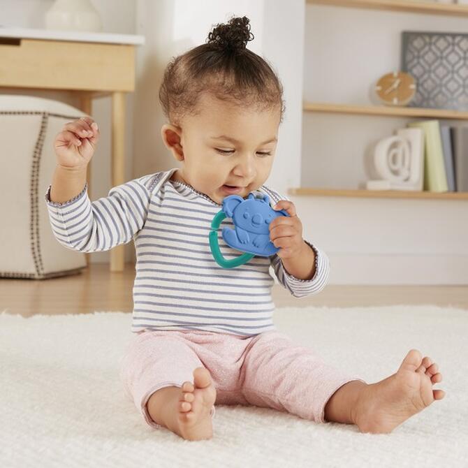 Fisher Price Teething Animals 6 Designs