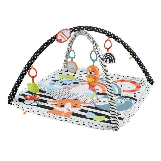 Fisher Price Musical Gym 3 in 1