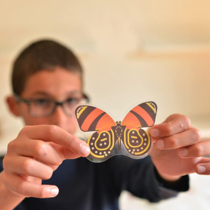 Poppik Insects - reusable sticker poster ages 6-12